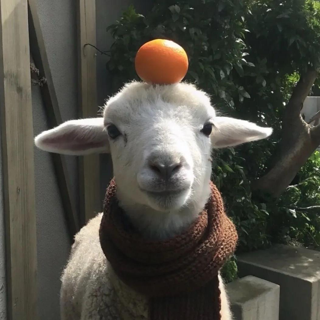 我睡覺的時候不困