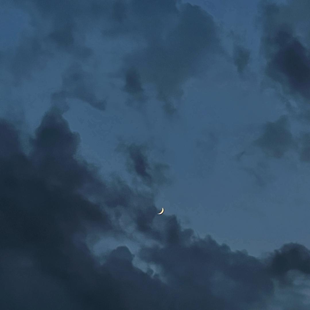 六月