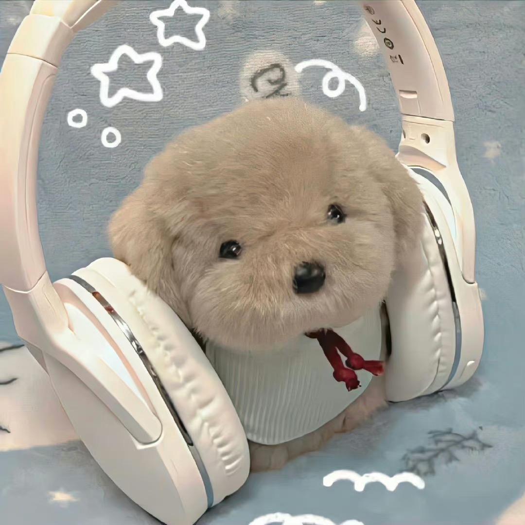 myoukk_