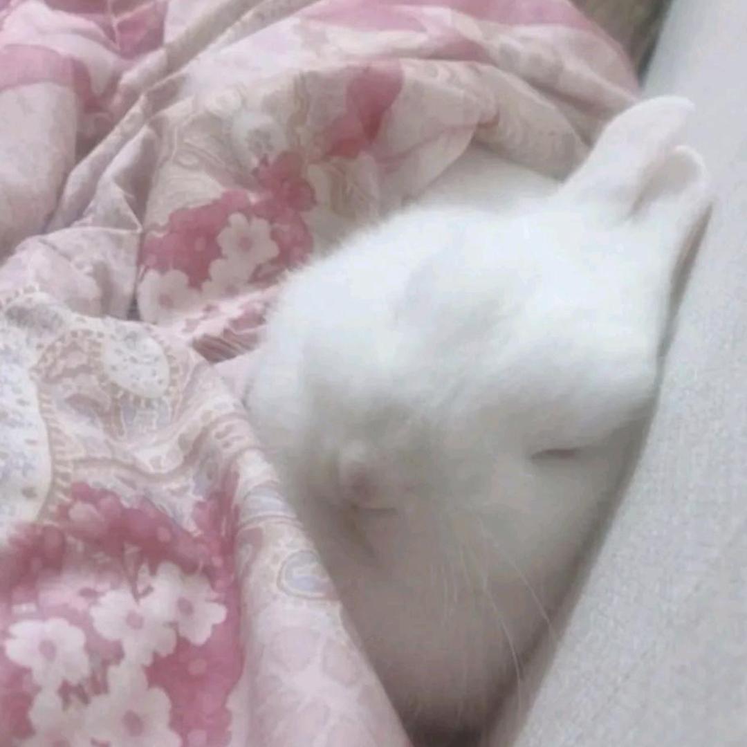 我睡醒不困