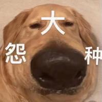 憨憨Max