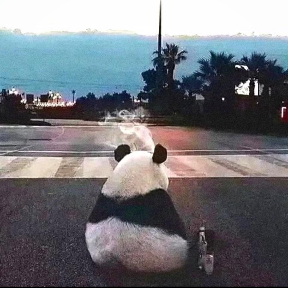 东方闻樱