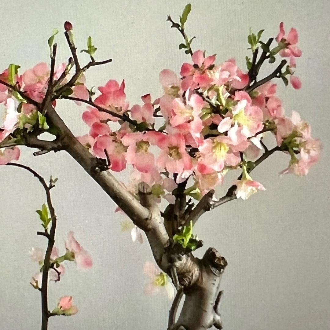 青春不在我还在