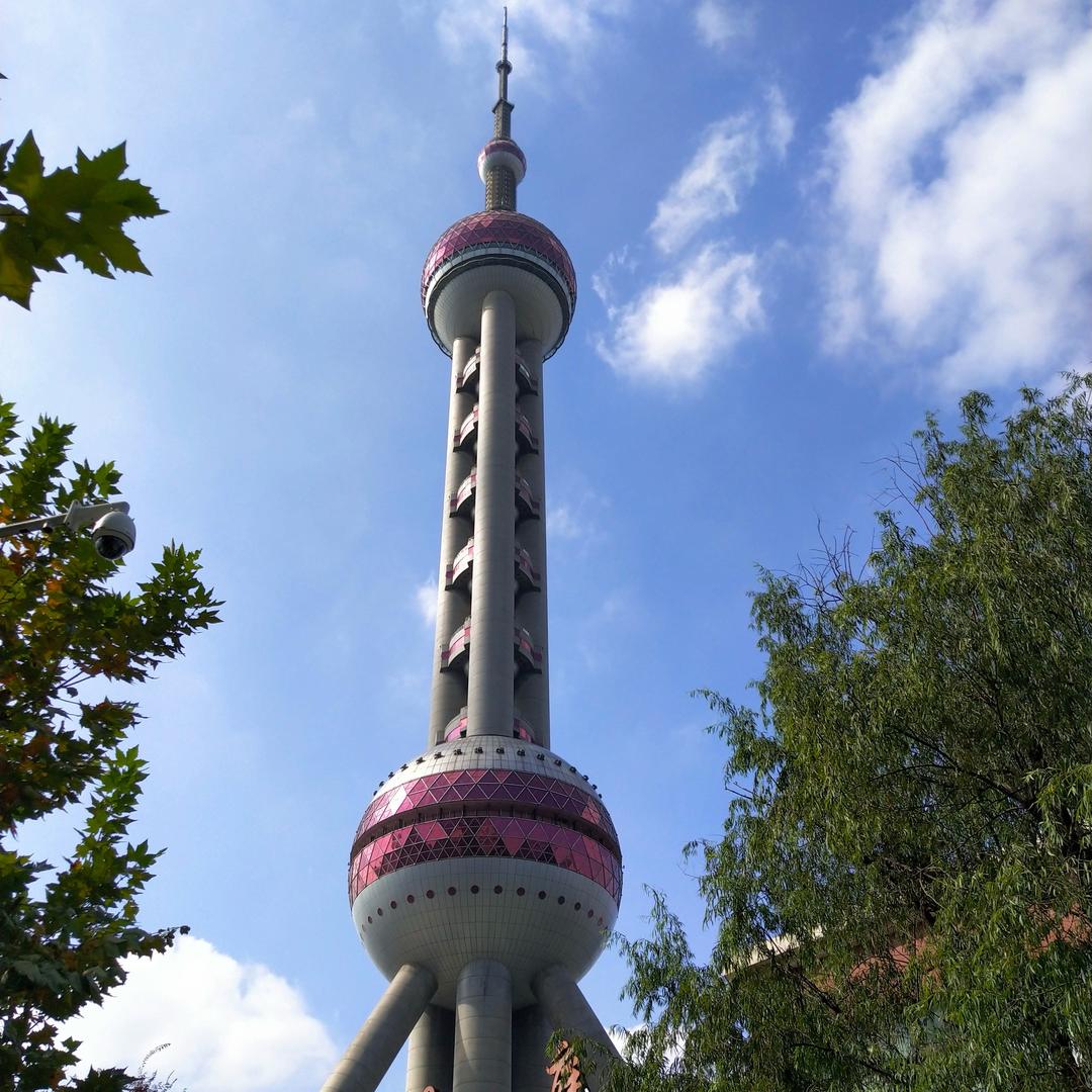 树德宁德真实房产咨询