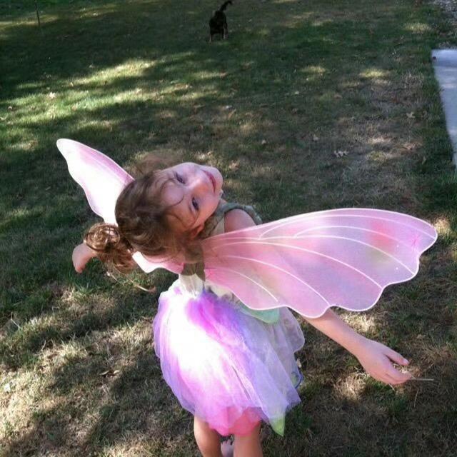 番茄怪人真人树懒