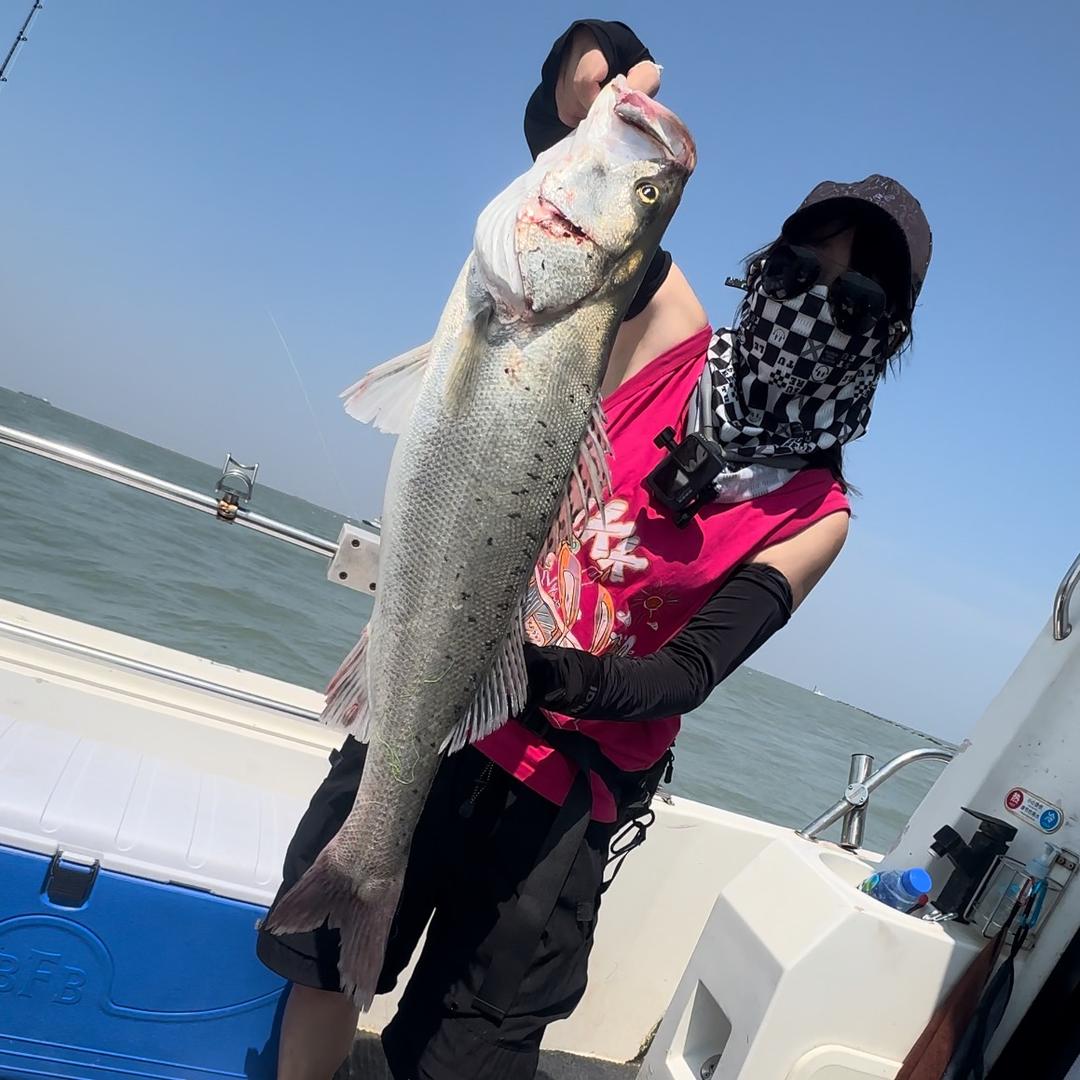 不爱钓鱼的TiMi🎣