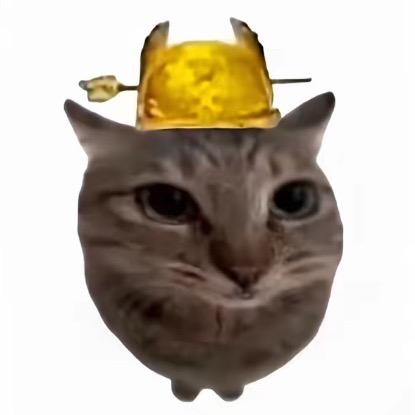 ₍˄·͈༝·͈˄*₎◞ ̑̑