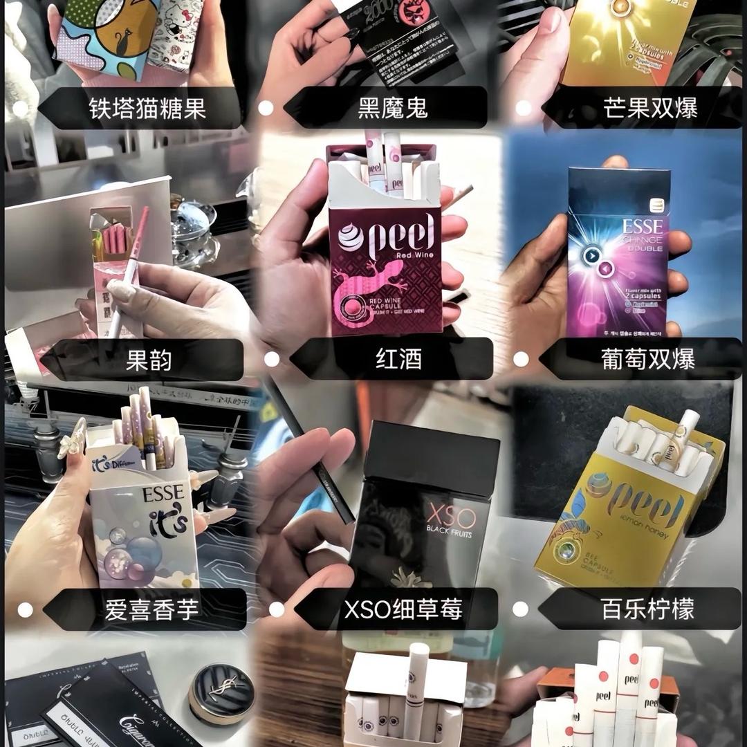 分享快乐的小猫咪