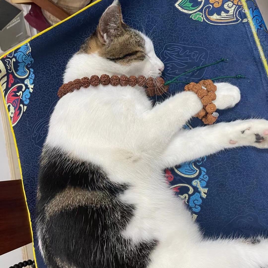 洄溪