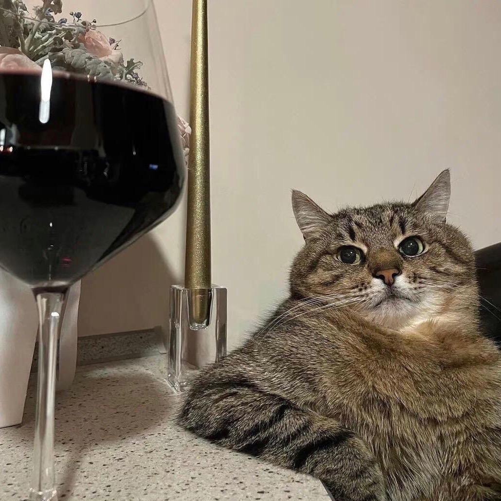 夜宵外卖高级品鉴师中华区减肥失败形象大使