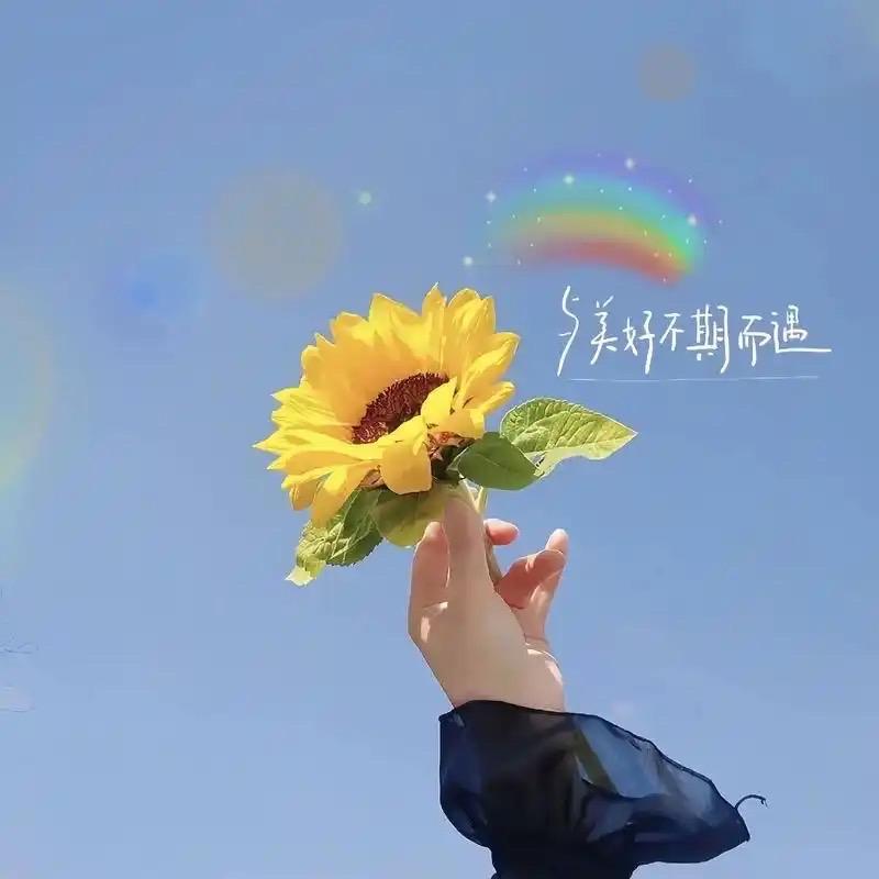 @安然