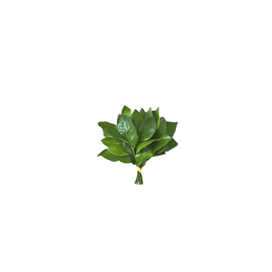 Cc