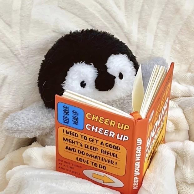 小满红薯复盘日记