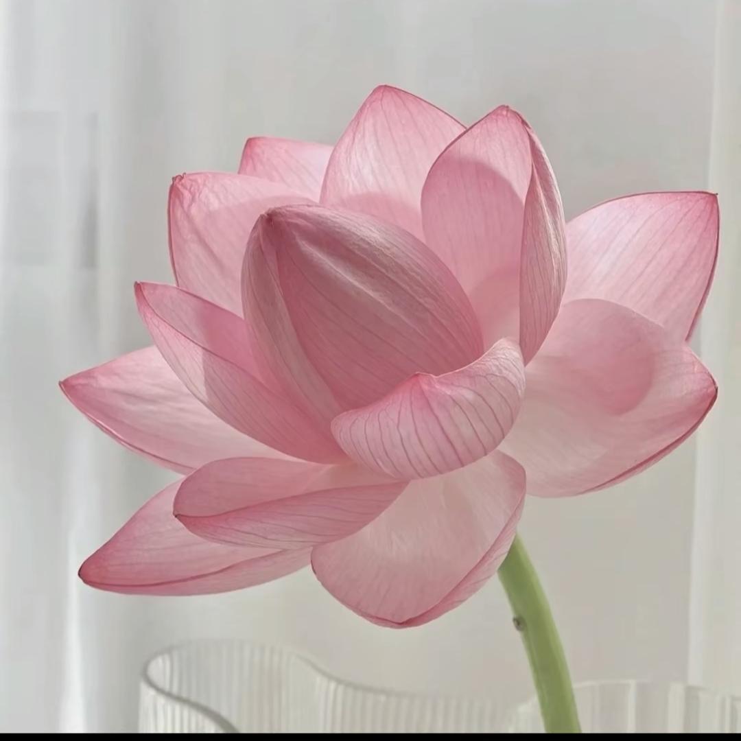 温暖