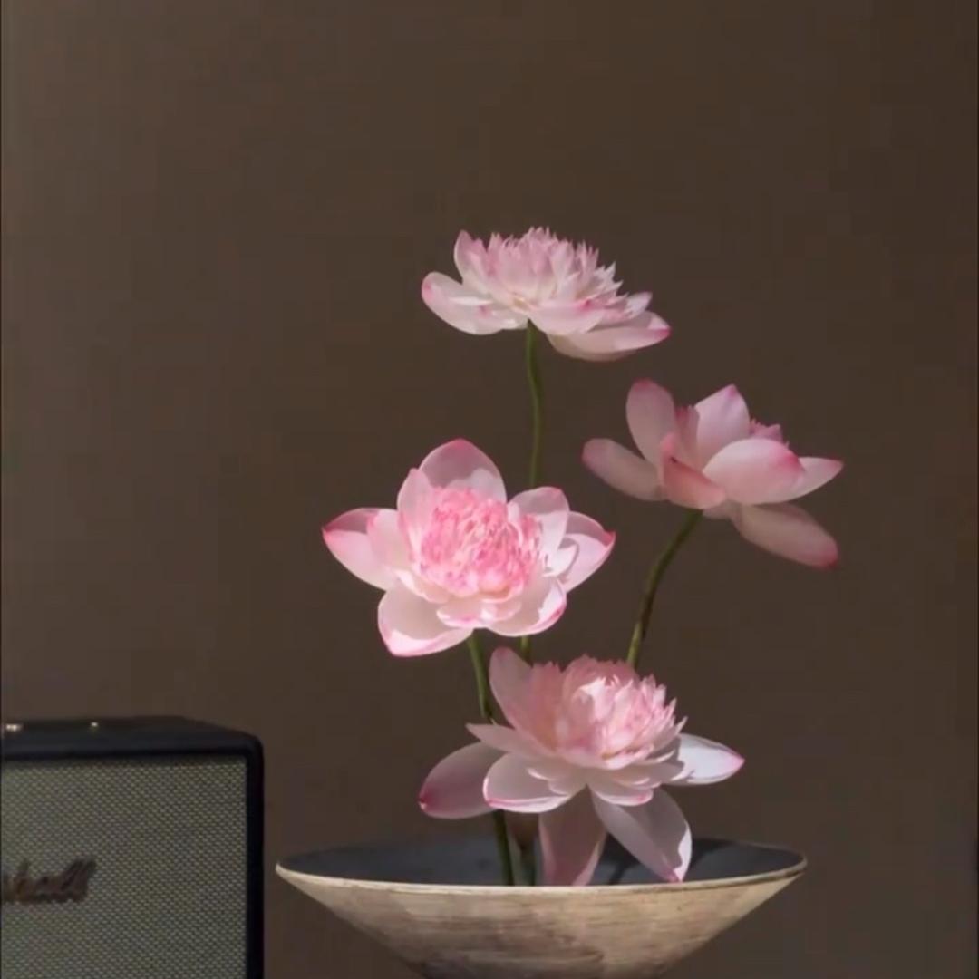 知梧