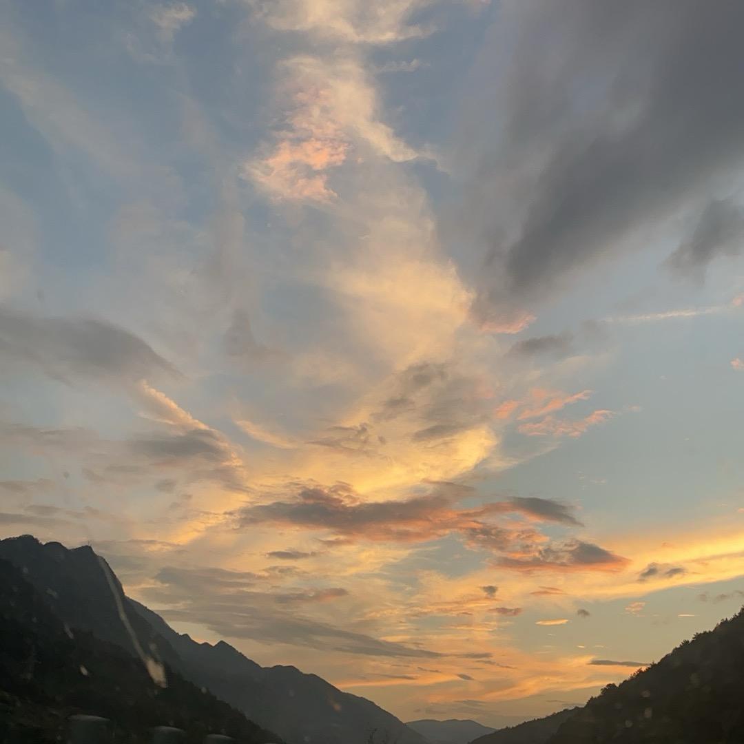 周沫优选