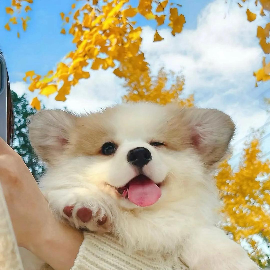 ￴￴￴￴￴￴￴￴￴￴￴￴￴￴