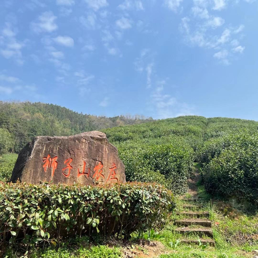 杭州双溪狮子山农庄