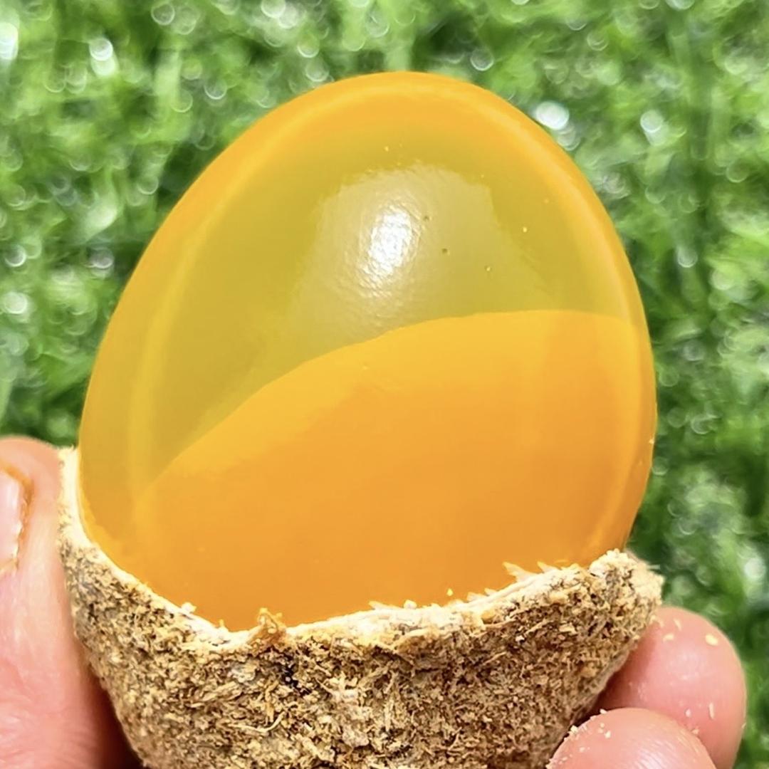 鑫丰园五香变蛋