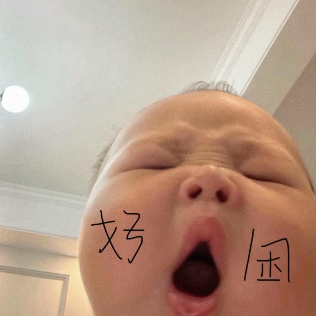齐刘海