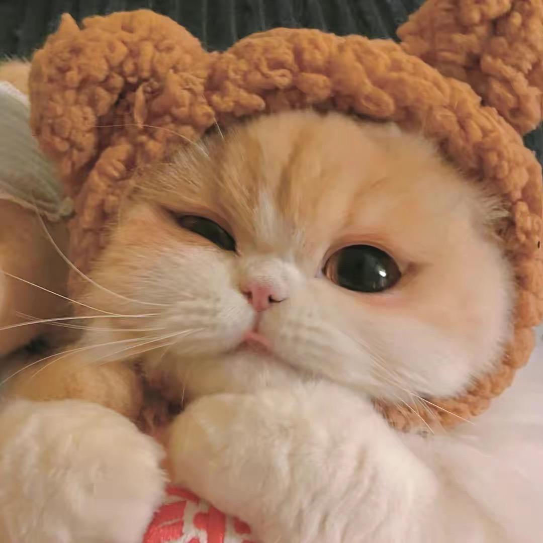 甜甜酱