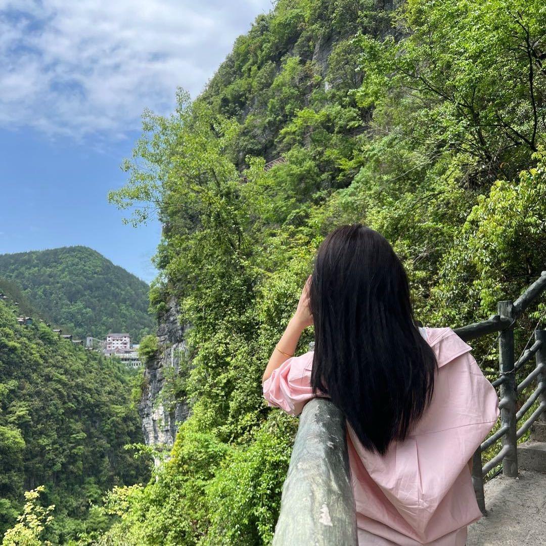 王鲸鲸-
