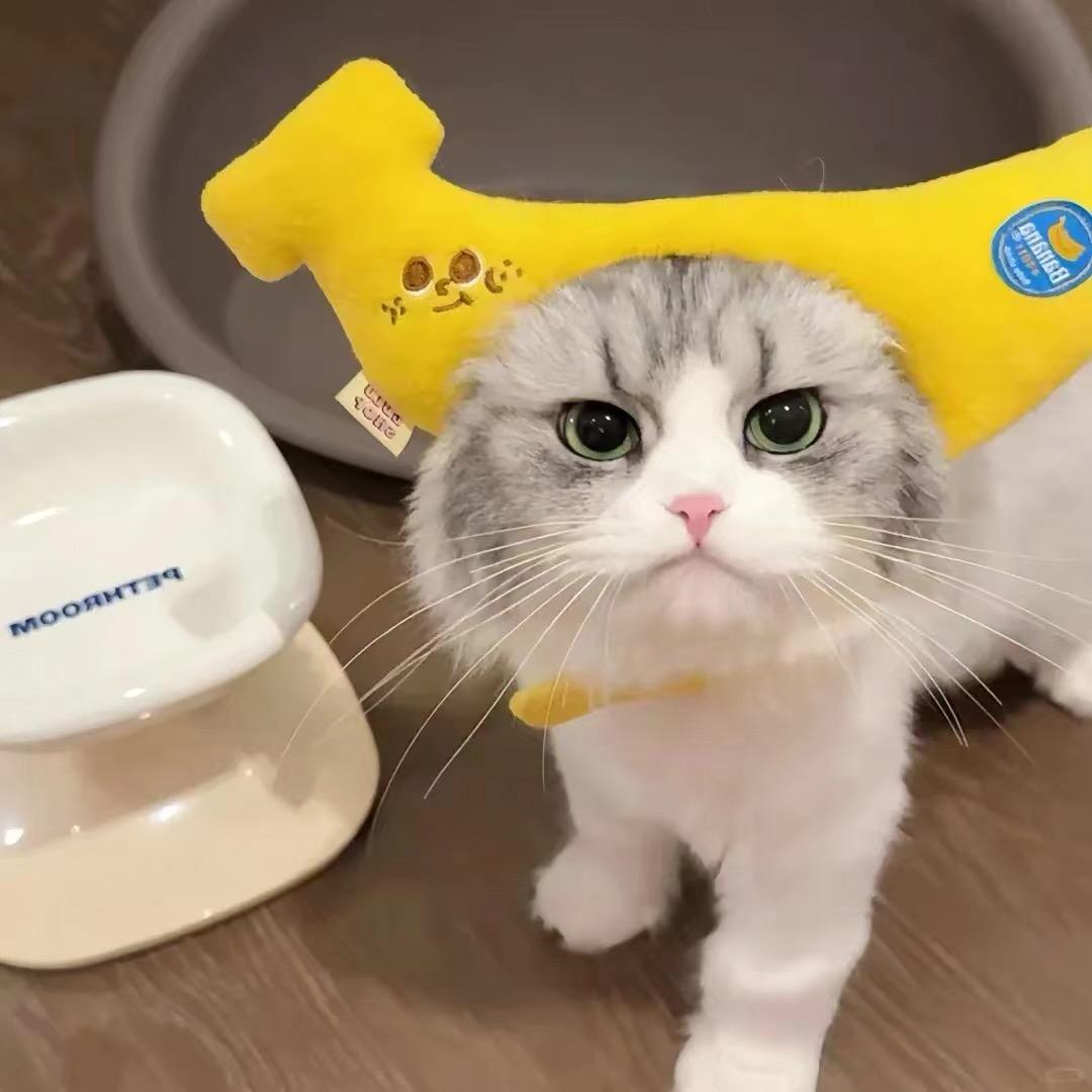 Санتа