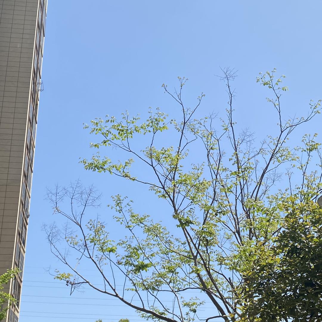 星空万李