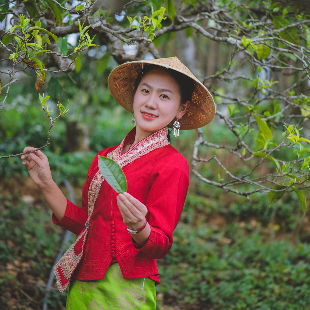 纳濮茶叶旗舰店