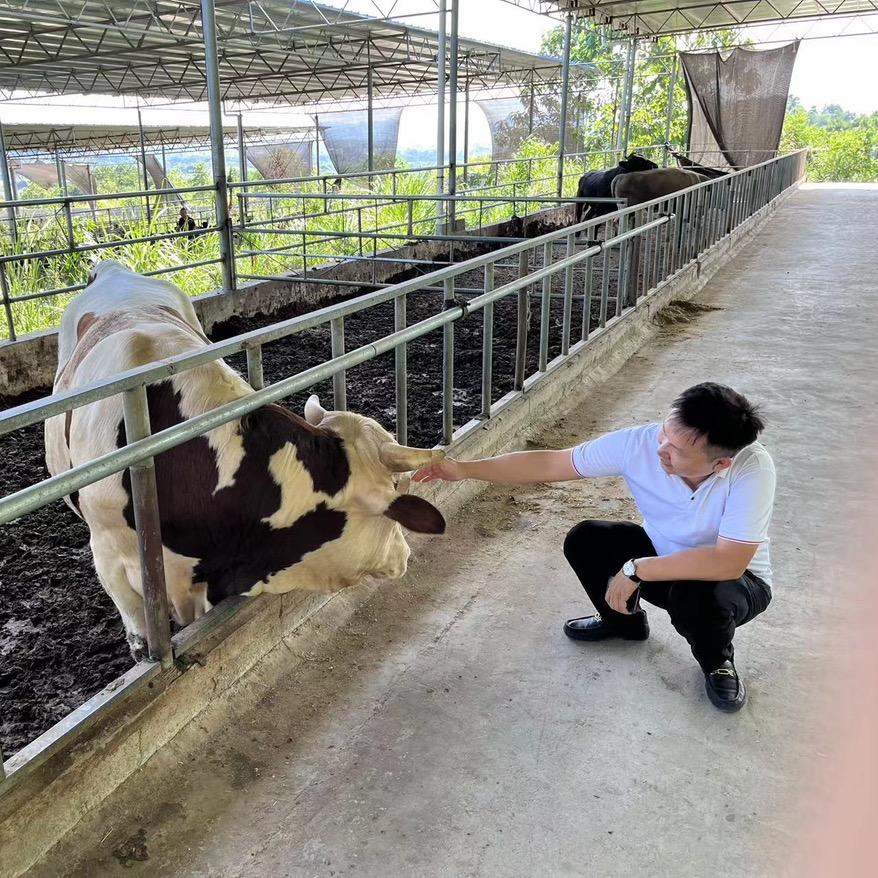 活牛🐂搬运工