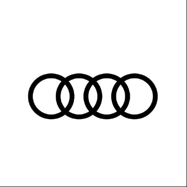 一汽奥迪新能源-河南奥吉通