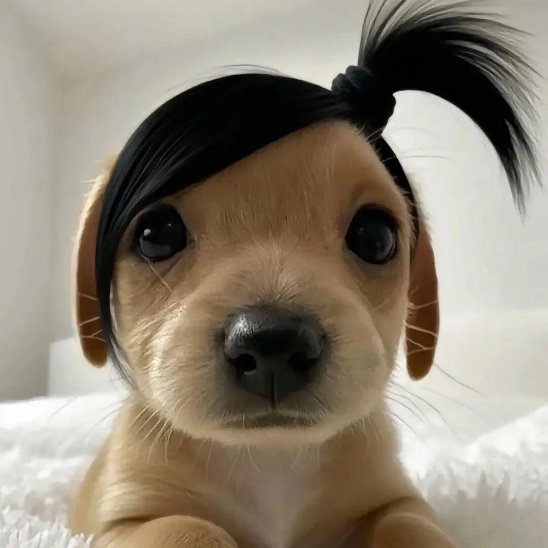 伊云婷