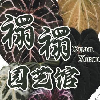 禤禤园艺馆