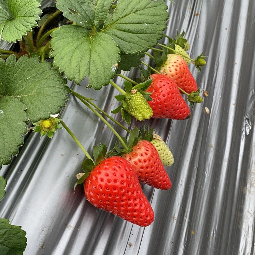 曾经也只是曾经