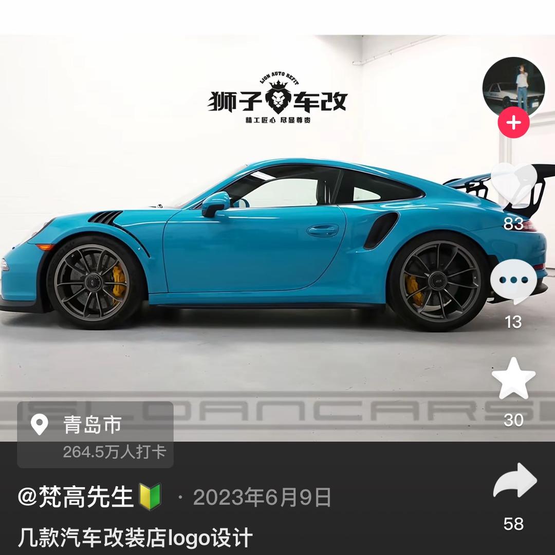 狮子🦁车改