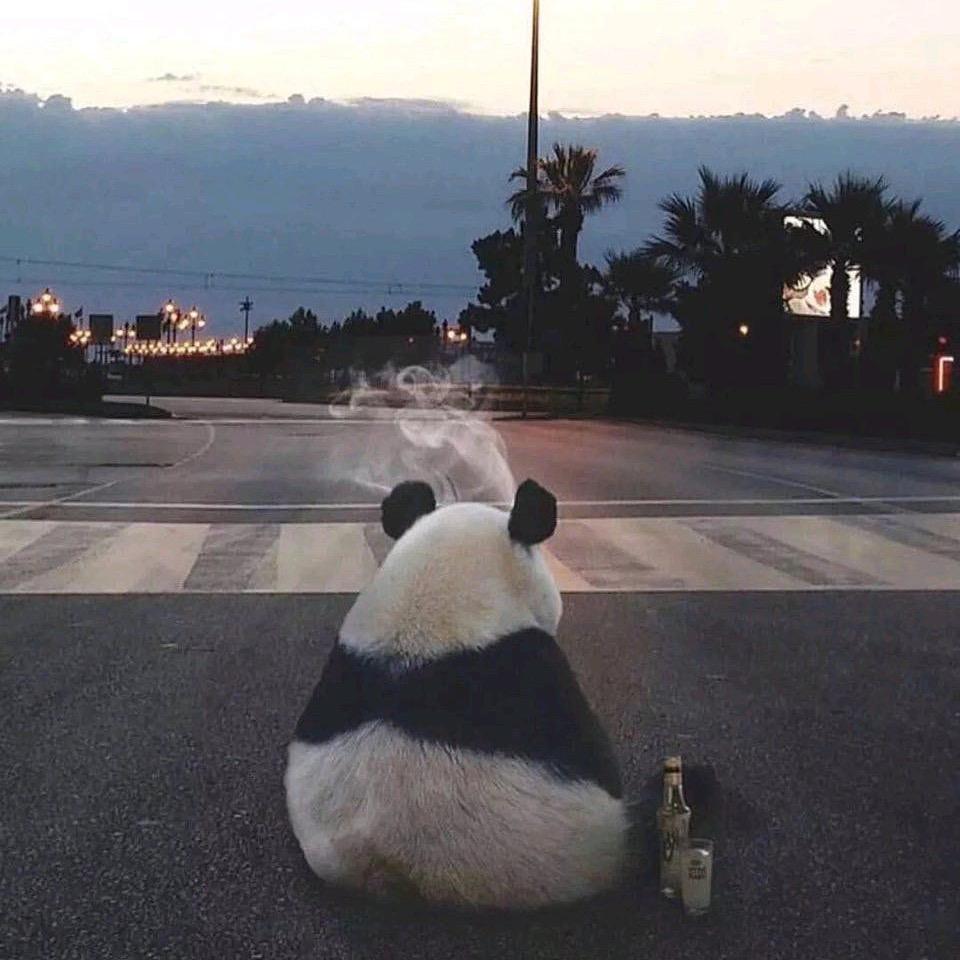 是非观