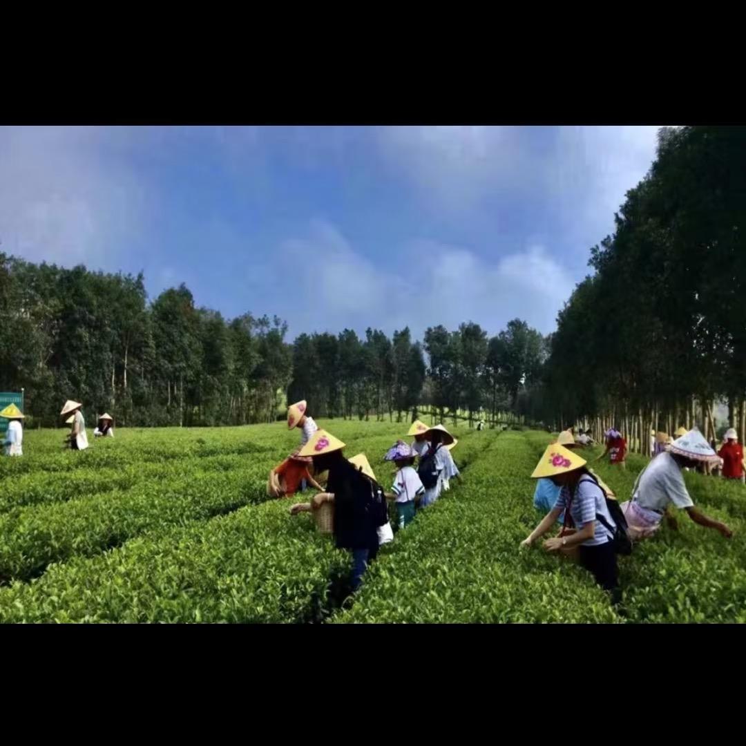 茗海花洲