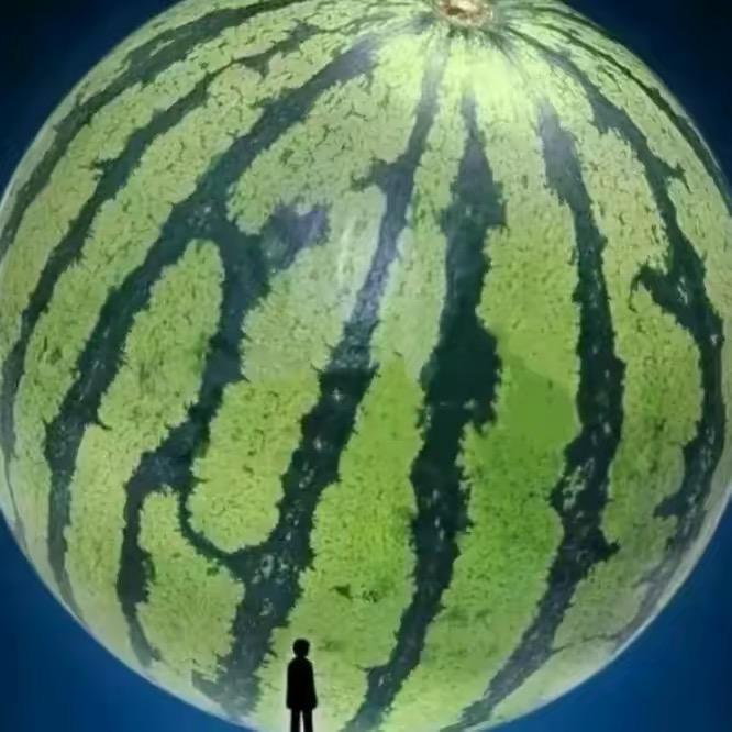 汉丰洋百货店