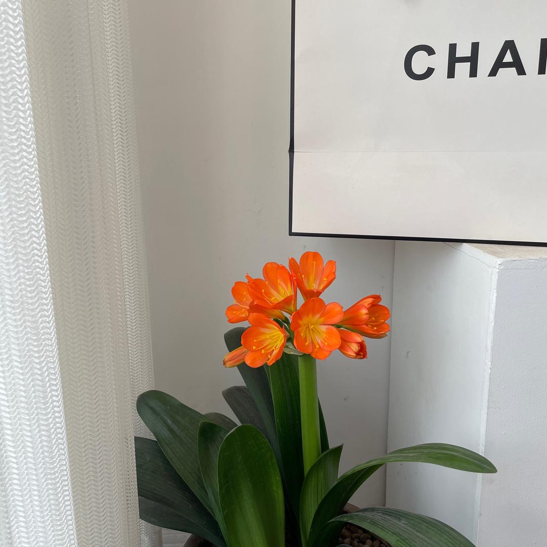 老城SeeYou女装店