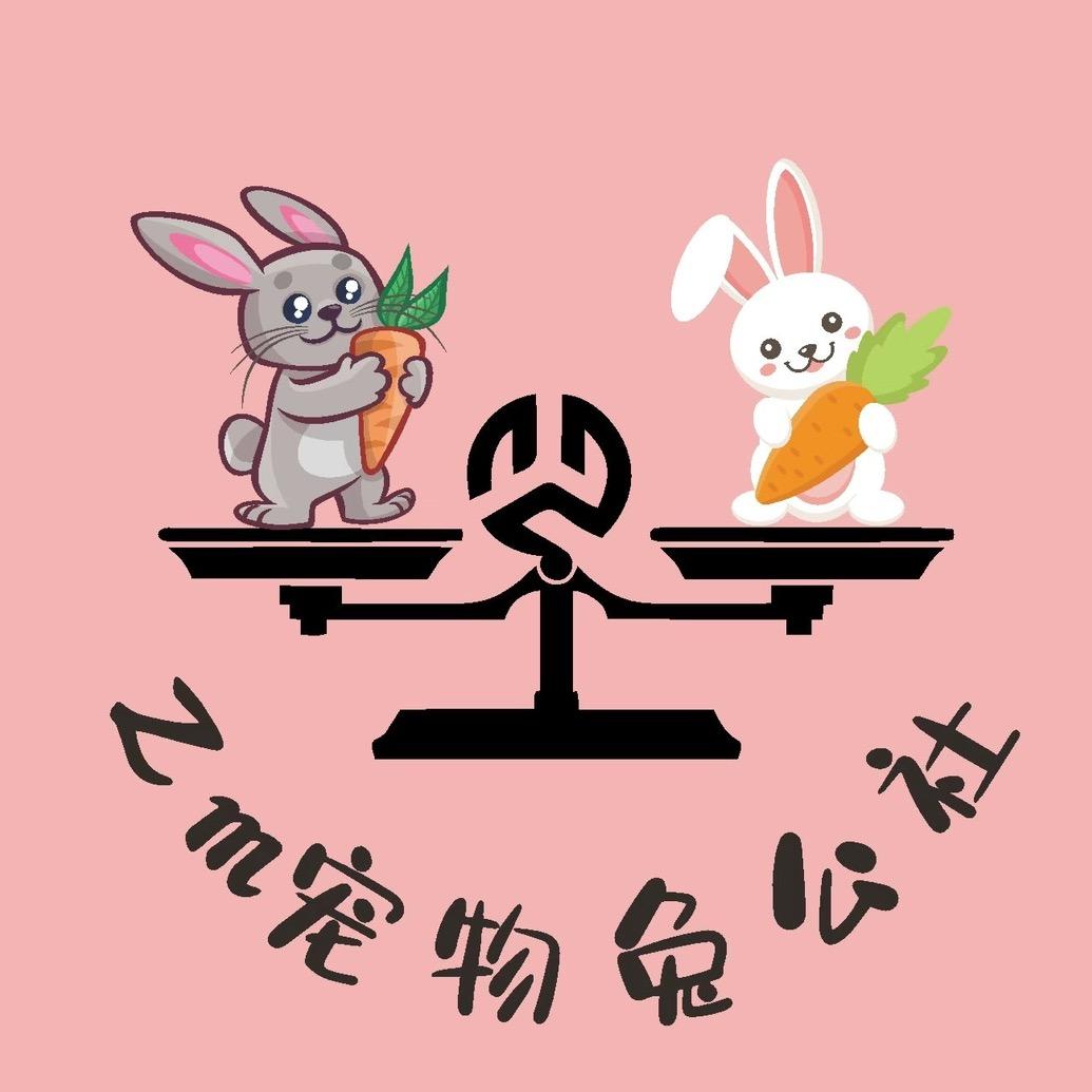 宠物兔公社