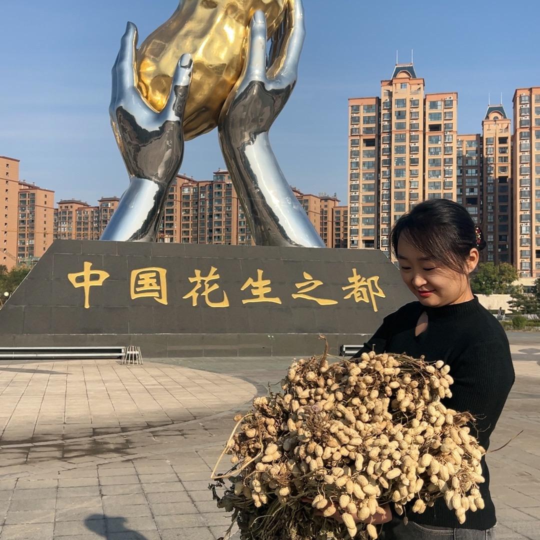 咱村的陈太太