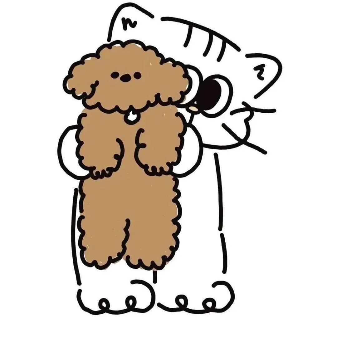 喵咪咪🐱