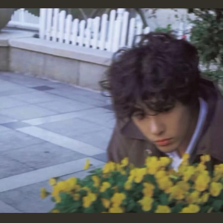 菌