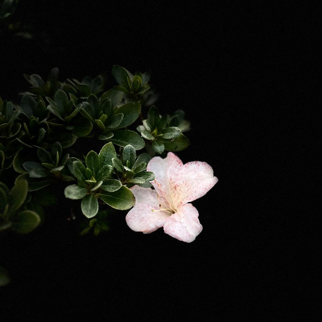 涓涓