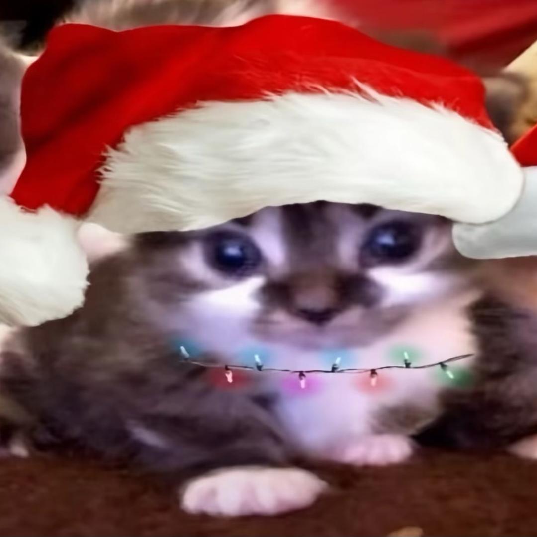 .【—】.