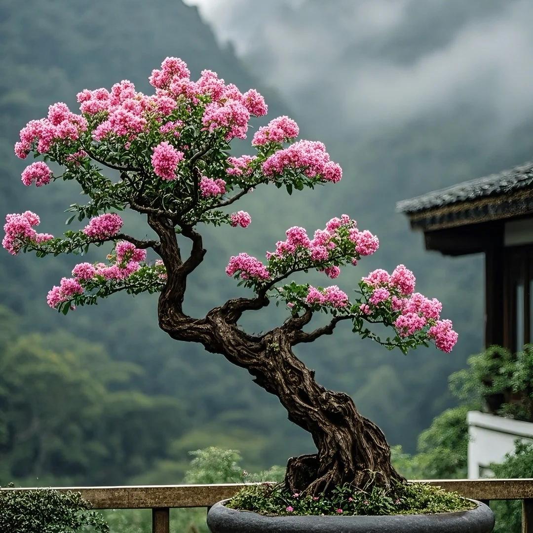 赵总绿植基地园艺