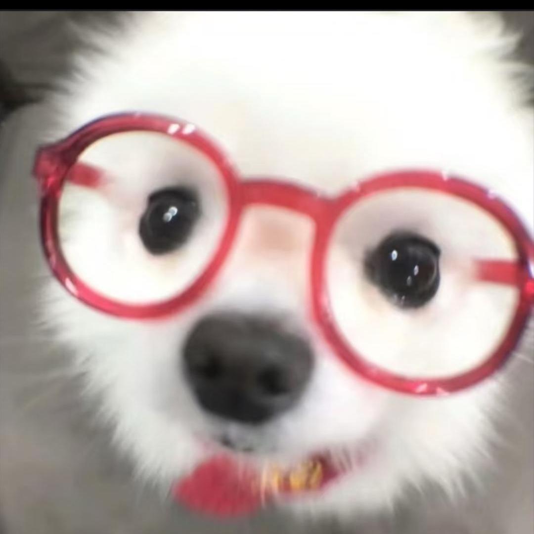 长    侯