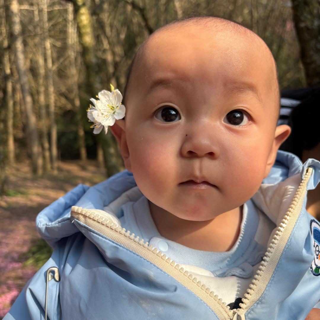报恩榴莲❤️