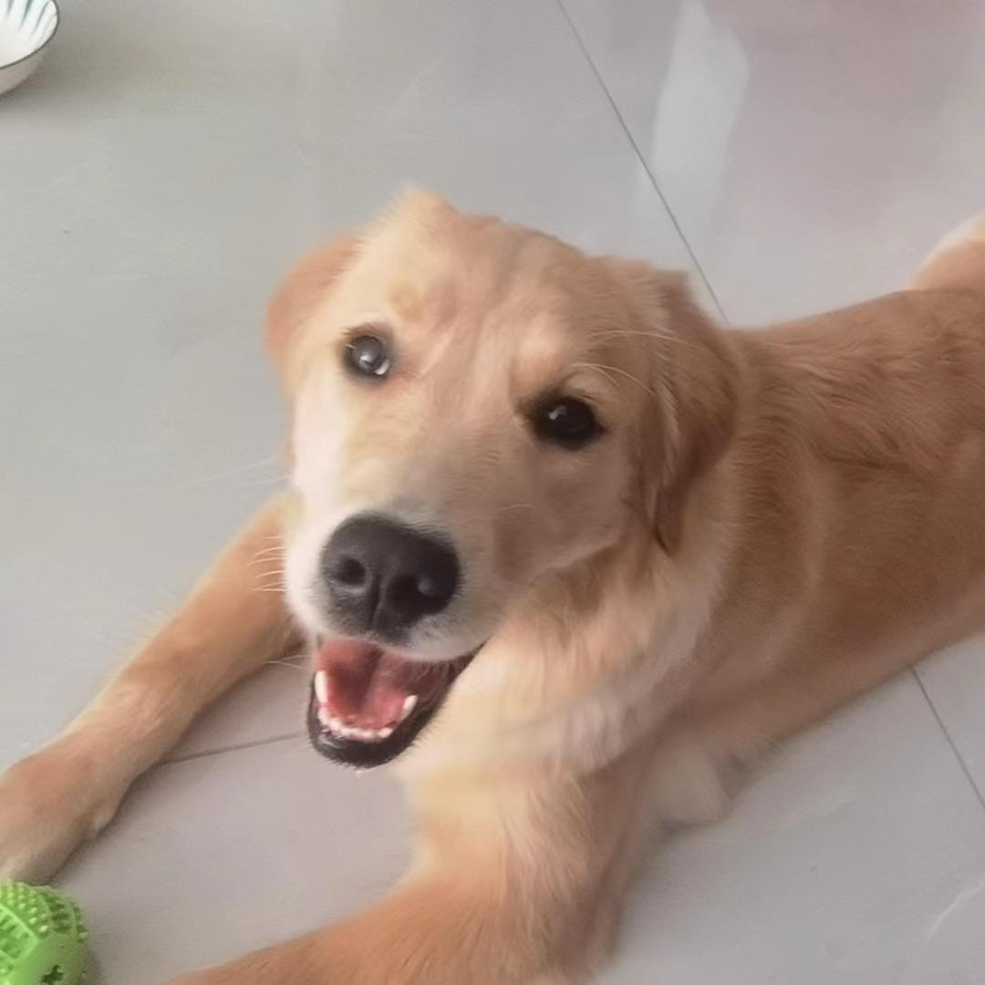 居然之家（胡馆）