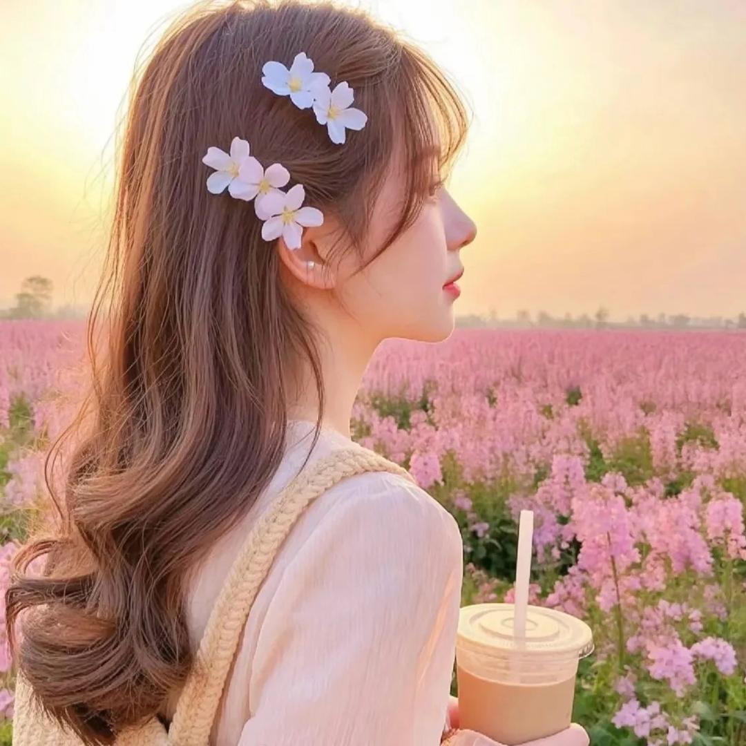 电动车源头工厂-梅